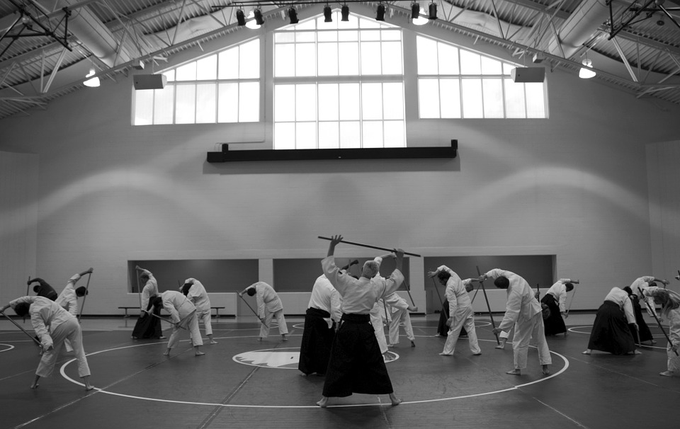 aikido-362959_960_720